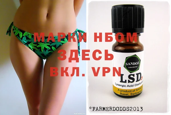 стафф Алексин