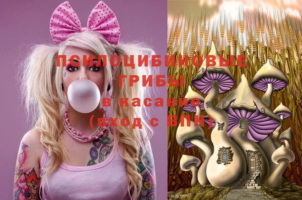 бутират Алзамай