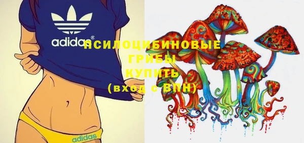 бутират Алзамай