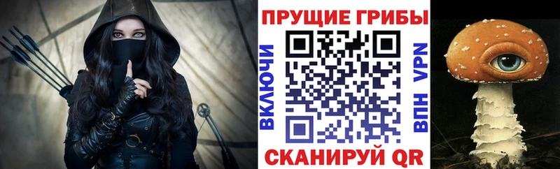 Псилоцибиновые грибы MAGIC MUSHROOMS Сосновка