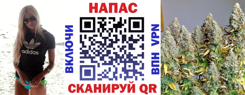 Конопля OG Kush  kraken ссылки  Сосновка 